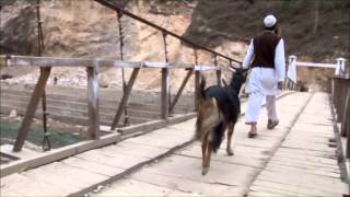 IN AZIONE PER IL PAKISTAN -- intervista a Pietro Fiore