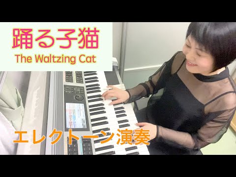 Vol.167「踊る子猫」（The Waltzing Cat）エレクトーン・アレンジ