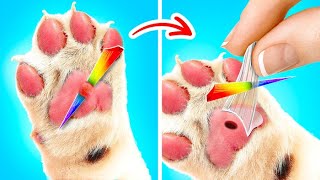 HAMİLE KEDİ İÇİN TÜYOLAR | 123 GO Like! Hayat Kurtaran Kendin Yap Tarzında Evcil Hayvan Tüyoları