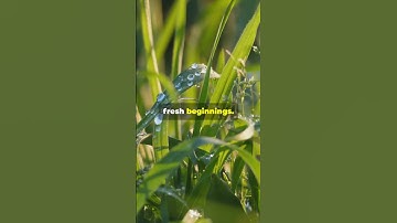 "7 Spiritual Water Rituals You Must Try for Manifestation and Healing.