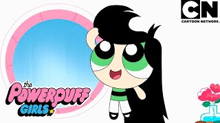 La Plaga | Las Chicas Superpoderosas | Cartoon Network