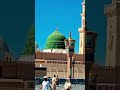 س سرور انبیاء عليه السلام #naatsharif #islamic #shortsfeed