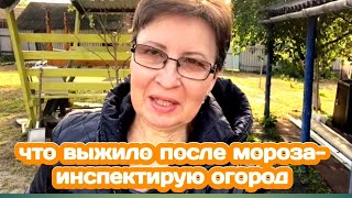 ПРОГУЛЯЛАСЬ ПО УБИТОМУ ОГОРОДУ, ОСВЕЖАЮЩИЙ НАПИТОК АЛЯ МАХИТО, СДЕЛАЛА СИНИЕ НОГТИ/ ЖИЗНЬ В ДЕРЕВНЕ