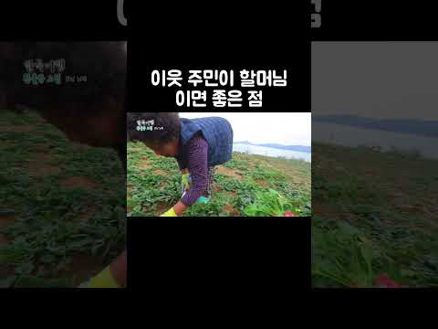 시골 할머니의 후한 인심 #shorts