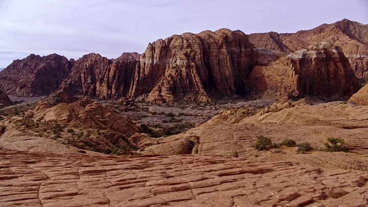 JVC GY-HC500 CONNECTED CAM handheld series demonstration footage