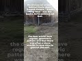 Slavic House and Energies, how to do doors (inspired by Leszek Matela)