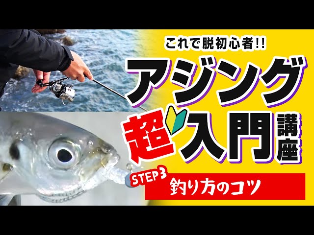 Ajing] Tips on how to fish. We will teach you the tips on ajing