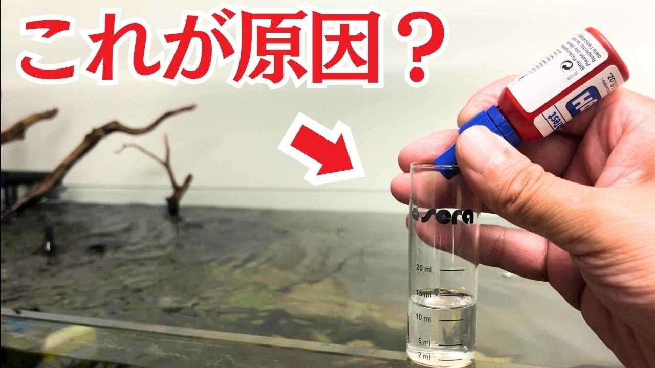 【99%が騙される】水槽の調子が悪い