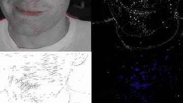 Real-time optical flow and semi dense point tracking on GPU