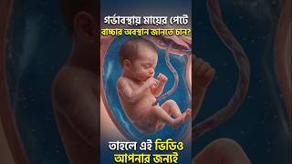 🤰🤰গর্ভাবস্থায় মায়ের পেটে বাচ্চার অবস্থান👶👶। Learn Nursing Through AI. #shorts #exlore  #trending
