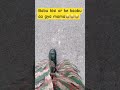 #army #indianarmy #funny #automobile #comedy #indiansoldiers #love #funnyshorts #funnyvideo #trend