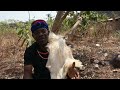 SOCIAL DIARY OMABA AJUONA OBIMO 2025 SOCIAL DIARY OMABA AJUONA OBIMO 2025