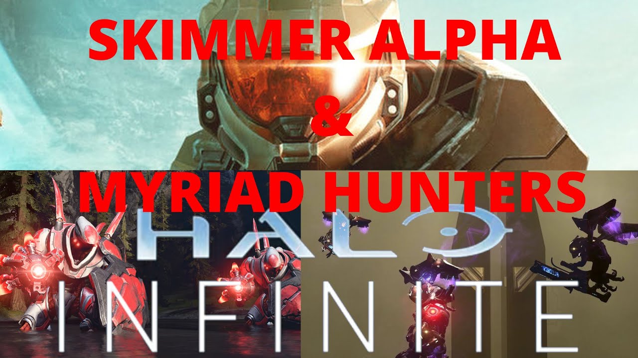 SKIMMER ALPHA & MYRIAD HUNTERS HALO INFINITE CAMPAIGN (18) YouTube