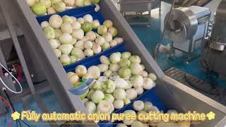 Fully automatic onion puree cutting machine
