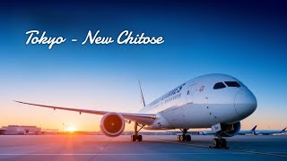Fly to Hokkaido from Tokyo  with Japan airlines #pilot microsoft flight simulator japansan #msfs2020