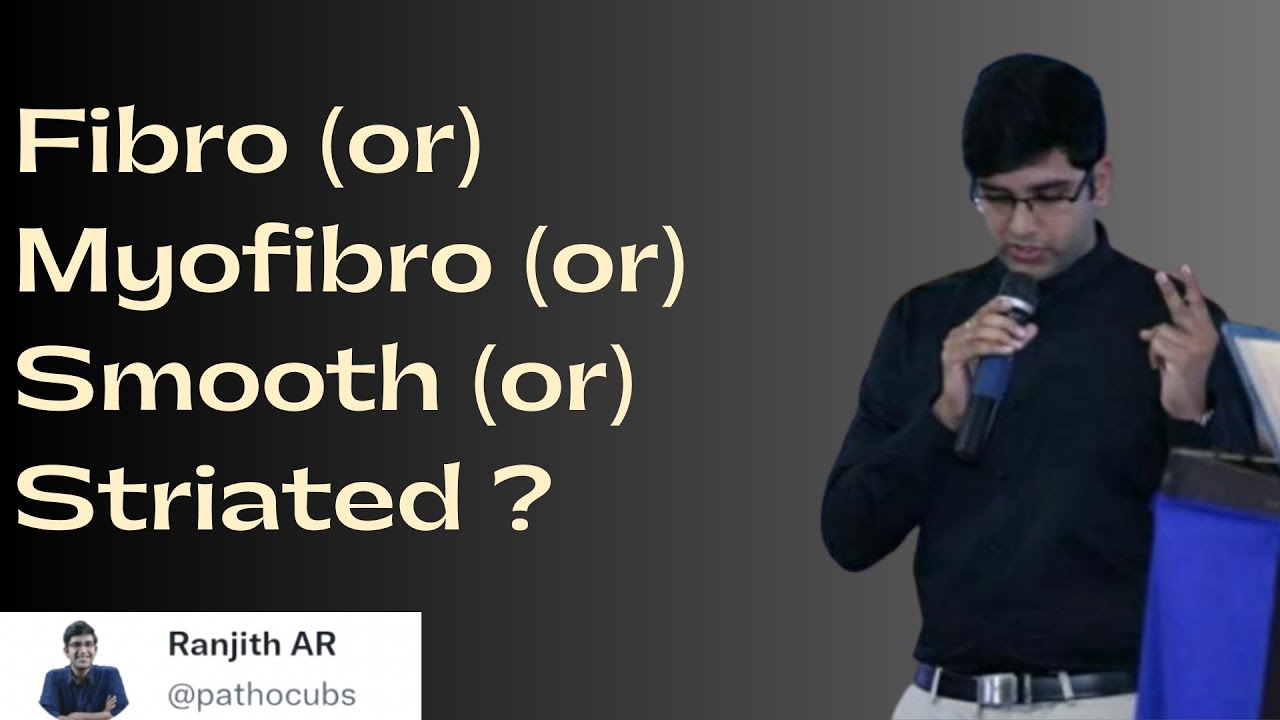 Different Spindle cells ! Basics Pathology