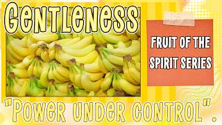 Gentleness: Strength Surrendered to the Holy Spirit