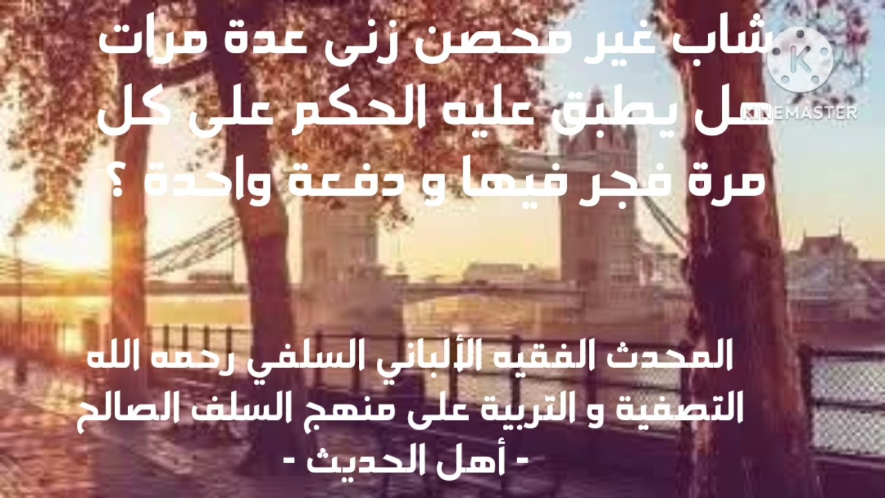 الإمام الألباني السلفي/ شاب زنى عدة مرات وهو غير محصن هل يطبق عليه الحكم على كل مرة فجر فيها ودفعة..