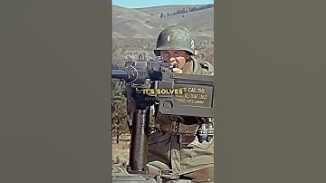 Drie kogels, één antwoord 🎯