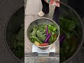 Must-Have Vegetable Chopper for Every Poultry Farmer #poultryfarming