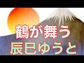 【辰巳ゆうと】鶴が舞う            唄ってみました