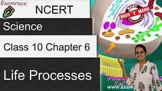 NCERT Class 10 Science Chapter 6: Life Processes | English | CBSE | NTSE | ICSE