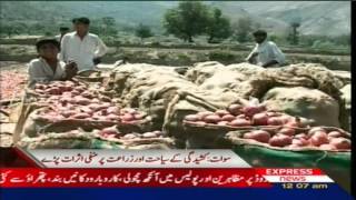 Swat operation Agriculture and Tourism very badly damaged by sherin zada