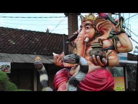 Canon EOS 700D 18-55mm Kit Lens Photography