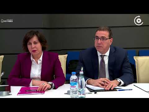 საერთაშორისო სავალუტო ფონდის მისია საქართველოში გატარებულ რეფორმებს აფასებს