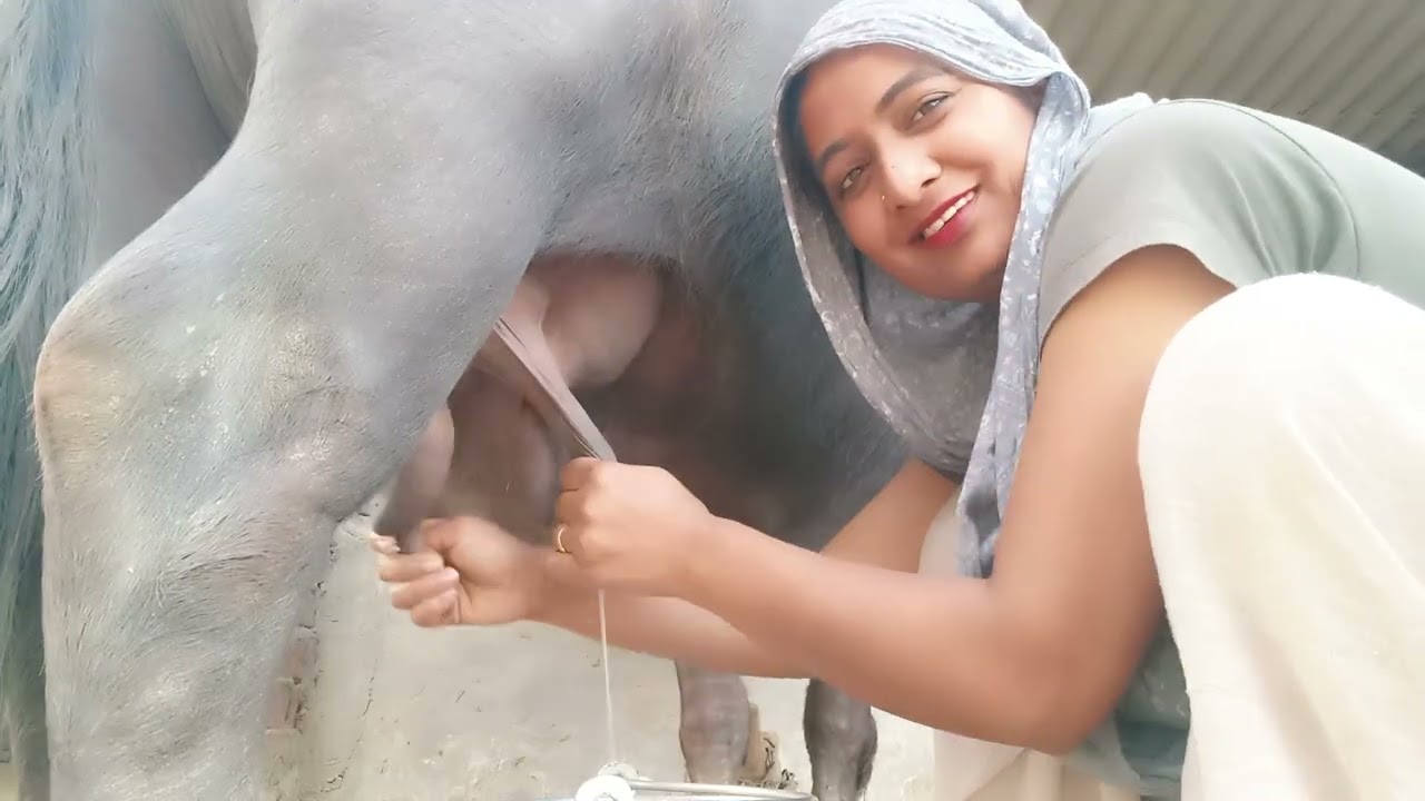 Buffalo milk 🥛🥛🥛🥛🥛😀😀😀😀😀😀fr to ji 😊😊😜😜 
