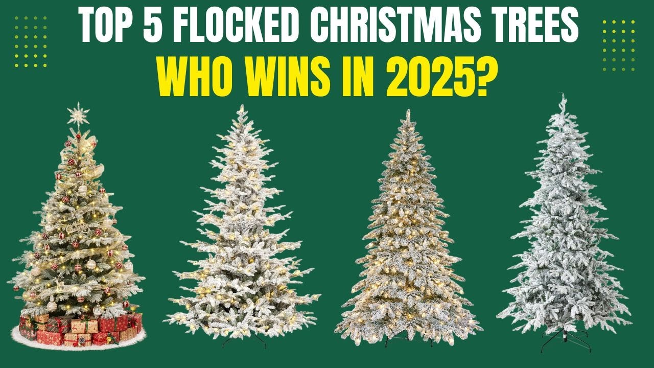 Пять лучших рождественских елок 2025 года
