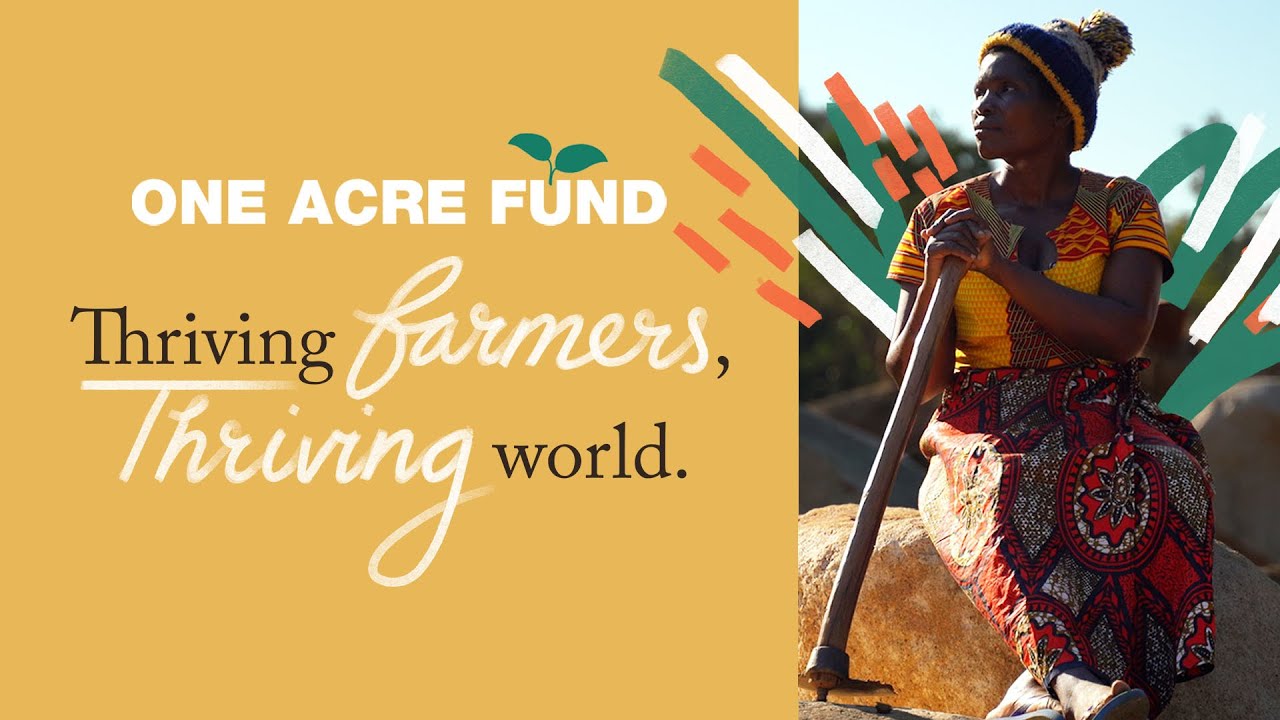 One Acre Fund Re Safeguarding Smallholders YouTube one-acre-fund-re-safeguarding-smallholders-youtube