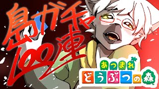 【 あつまれどうぶつの森 】第4回島民ガチャ100連！入れたい枠の子たちの誰かが来てほしい #74 ～わんりり島シーズン2～【白瀧炬燵/One Lyric】