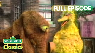 Big Bird Meets Mr Snuffleupagus  Sesame Street Classics  Episode