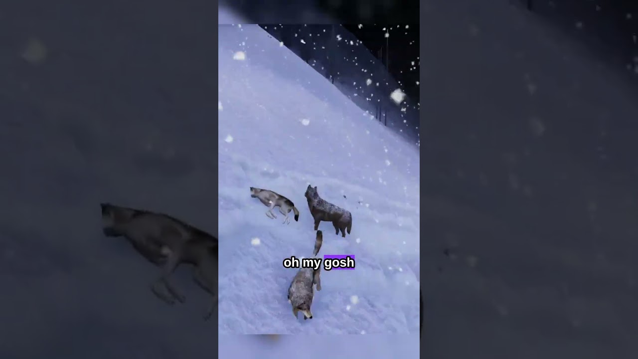 This Wolf Got JUMPED 😭🐺 #Shorts