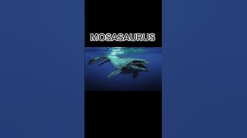 Things that are bigger than you think #shorts #mosasaurus