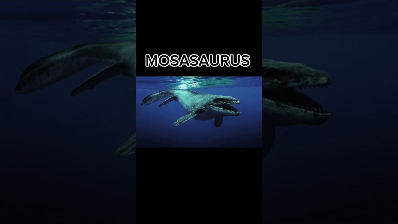 Things that are bigger than you think 