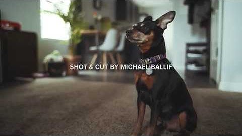 GVM Slider Test (2019)