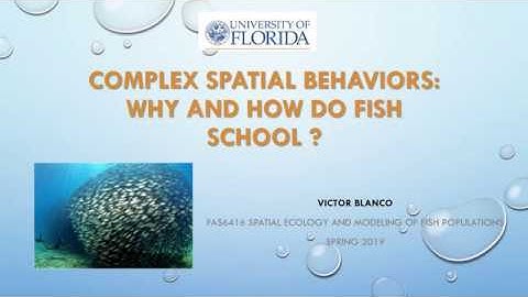 FAS6416 Spatial Ecology and Modeling of Fish Population Victor Blanco