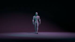 3D Generic Walk cycle