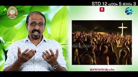 Mane Nobiscum I Cate.Class I STD 12 I Les. 5 IM. 3 I മതബോധനം Iക്ലാസ് 12 I പാഠം 5 I ഭാഗം 3 Jeeva News