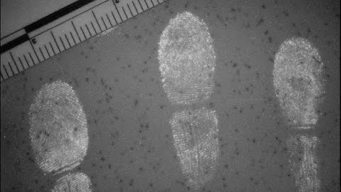 Evidence Photography - Alternate Light Sources