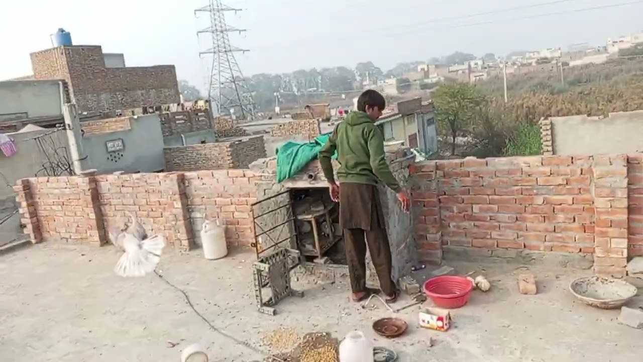 #kabutarandekabdetehain