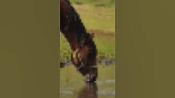 #cs #csgo #cs2overpass #cs2 #gaming #cs3 #counterstrike #memes #funny #standoff2 #ликс