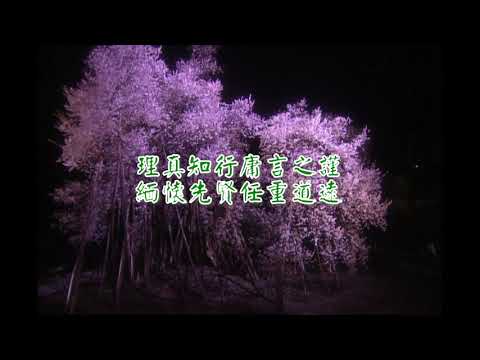 bEm了愿了苦(重出江湖)(演奏-男)