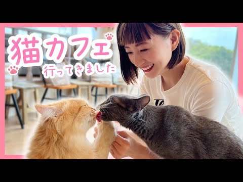 猫カフェでたくさん癒されてきました…♡