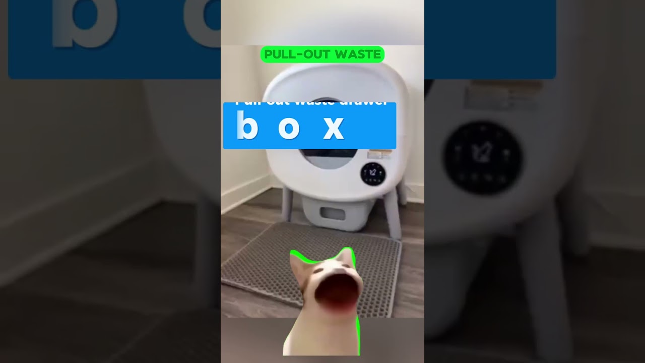 3 Things I Wish I Knew About Self-Cleaning Litter Boxes