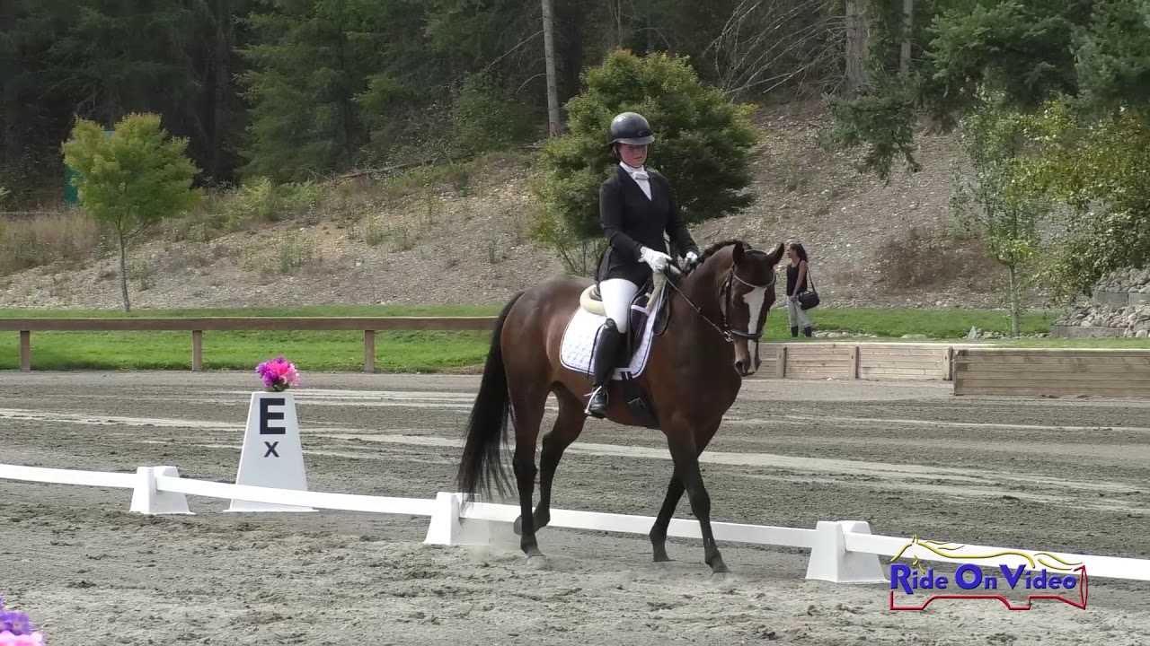 horseshoe bend 101D Jordan Schulz on Mia Training Rider Championships Dressage Aspen Farms September 2019