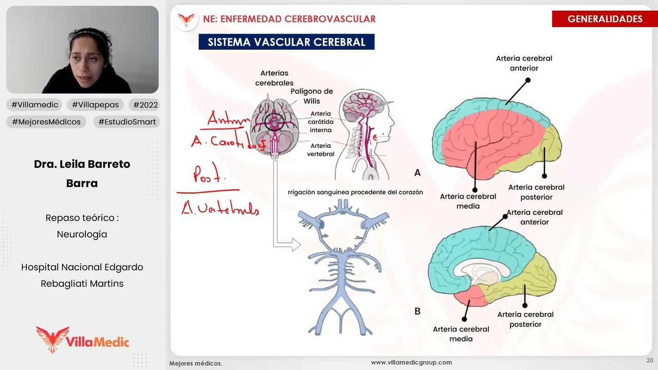 Patologìa vascular cerebral