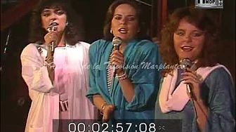 Cómo te va mi Amor / Pandora (1985) Cómo te va mi Amor / Pandora (1985)